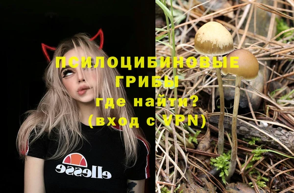 мдпв Осинники